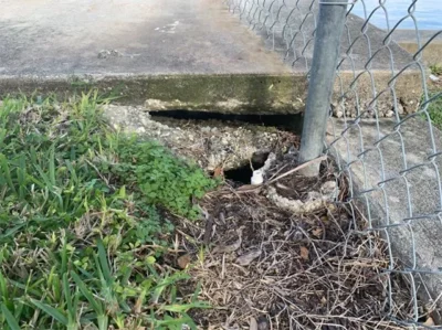 seawall repair contractors