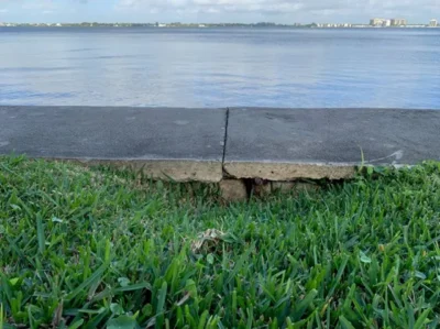 seawall repair florida